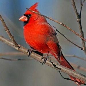 Meet your Posher, Cathy